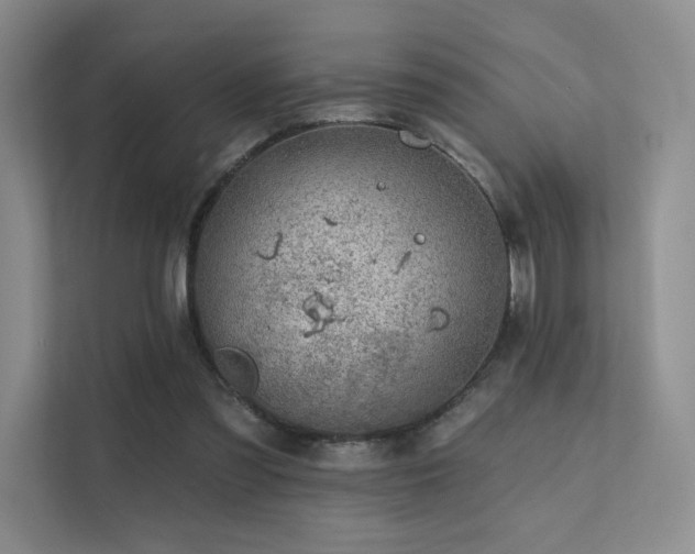 X0000113200301200909101117