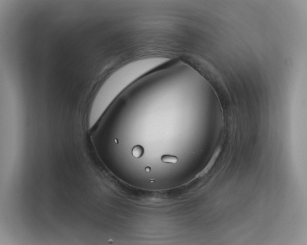 X0000113200308200909101117