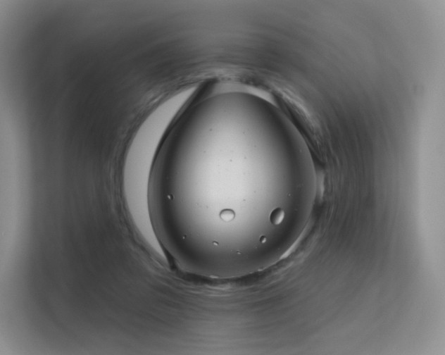 X0000113200309200909101117