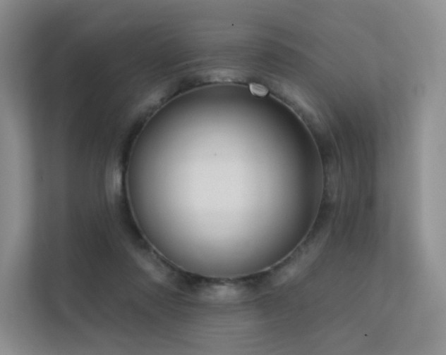 X0000113200310200909101117