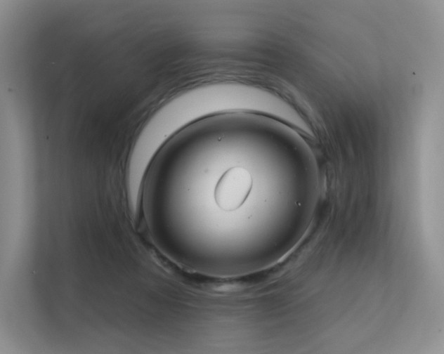 X0000113200313200909101117