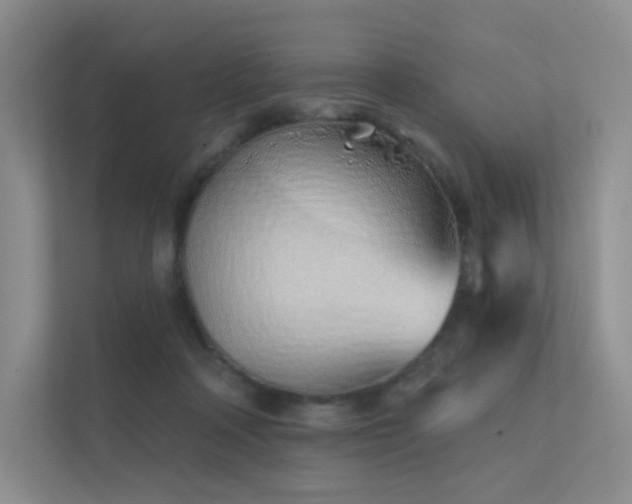 X0000113200314200909101117