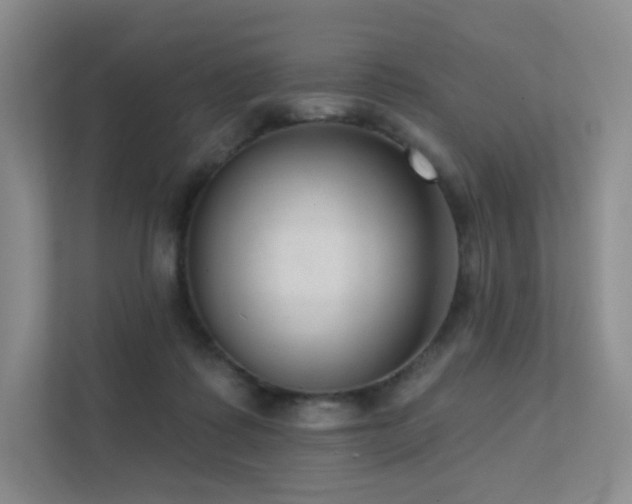 X0000113200315200909101117