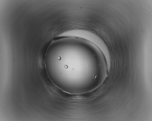 X0000113200316200909101117