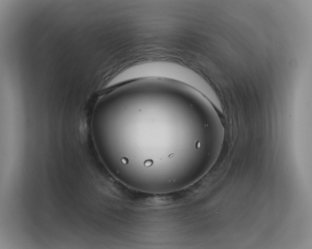 X0000113200320200909101117