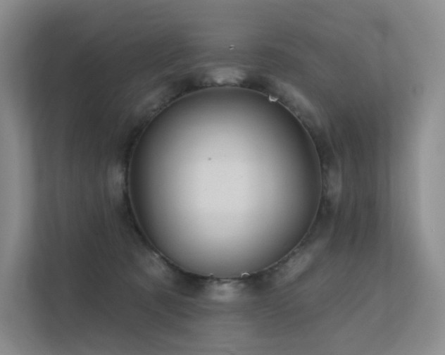 X0000113200321200909101117