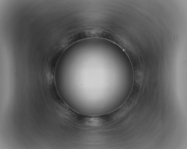 X0000113200324200909101117