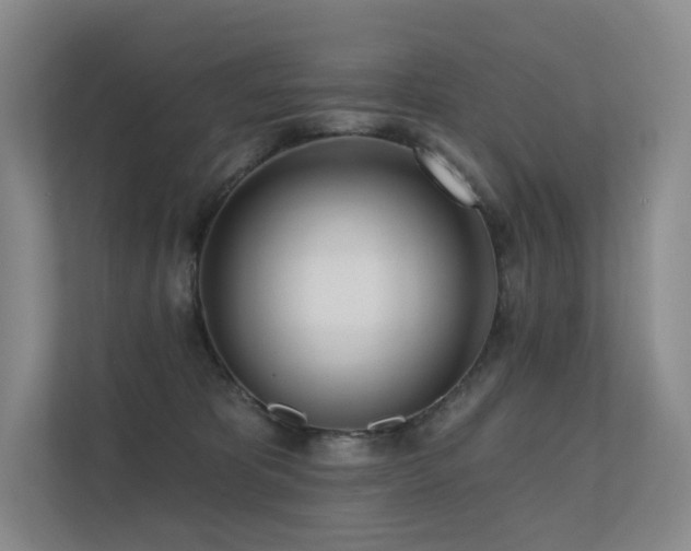 X0000113200325200909101117