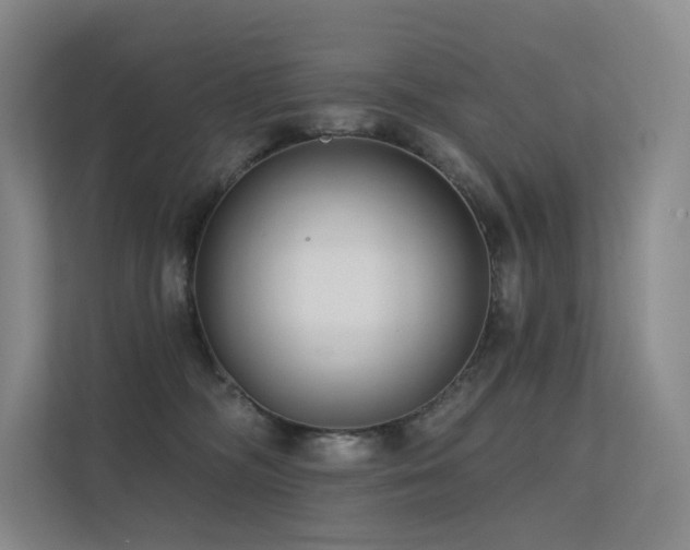 X0000113200326200909101117