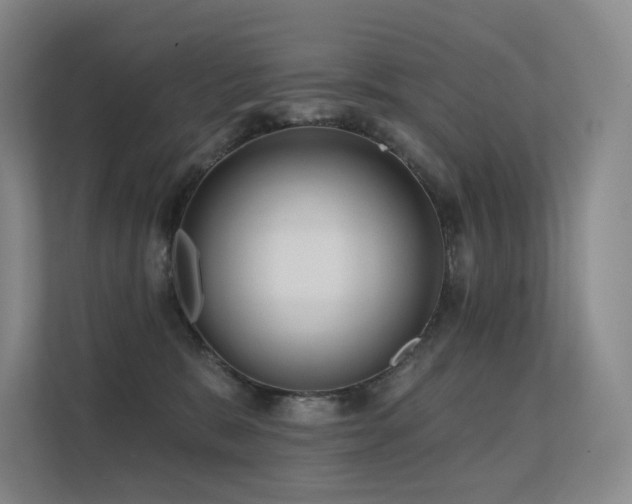 X0000113200327200909101117