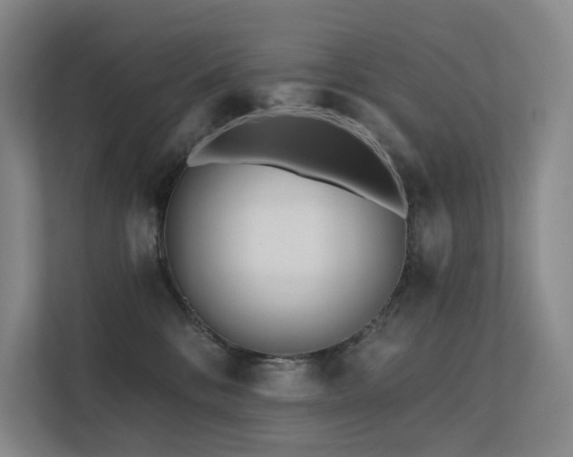 X0000113200328200909101117