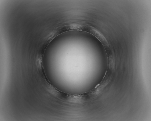 X0000113200329200909101117