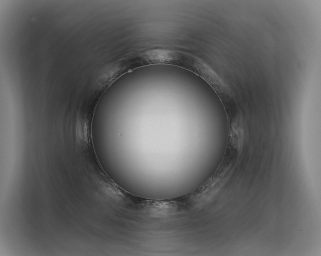 X0000113200330200909101117