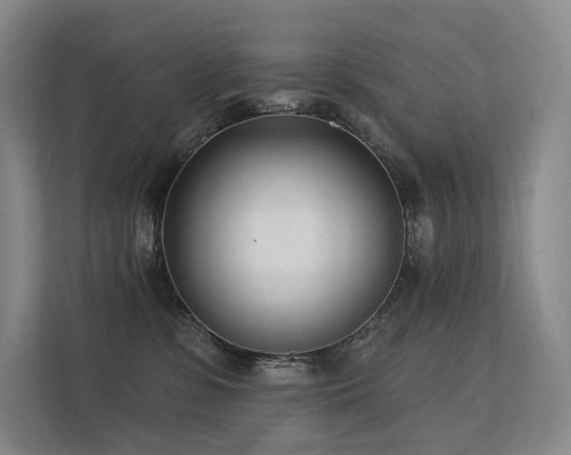 X0000113200331200909101117