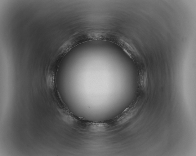 X0000113200332200909101117