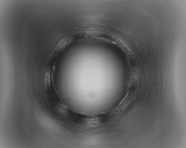 X0000113200333200909101117