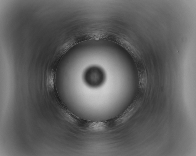 X0000113200334200909101117