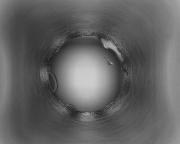 X0000113200335200909101117