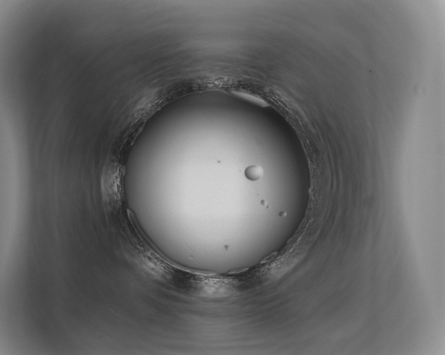 X0000113200336200909101117