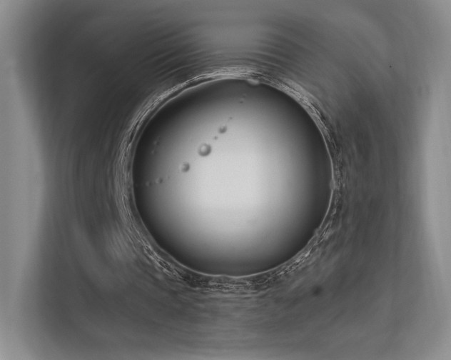 X0000113200337200909101116