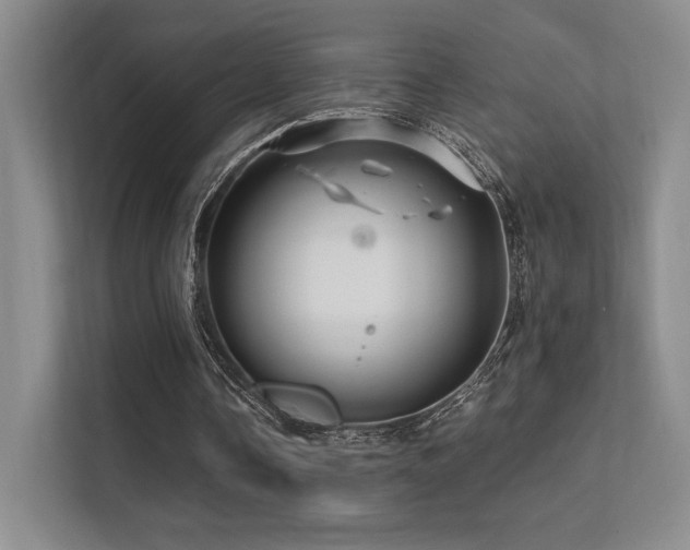 X0000113200338200909101116