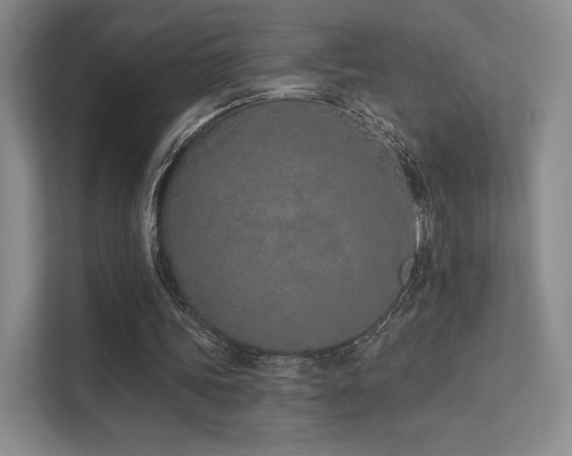 X0000113200339200909101116