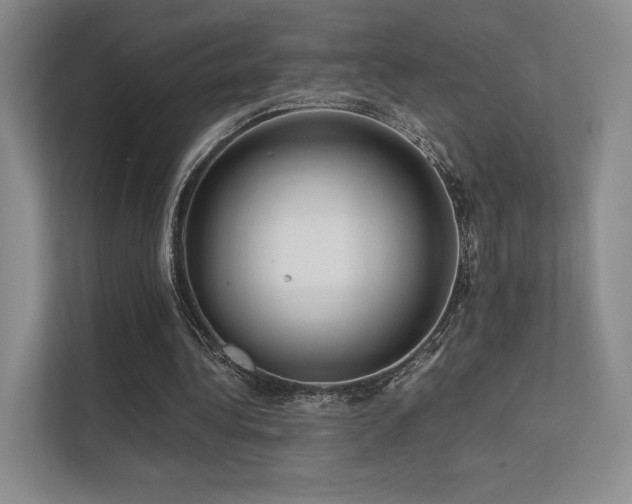 X0000113200340200909101116