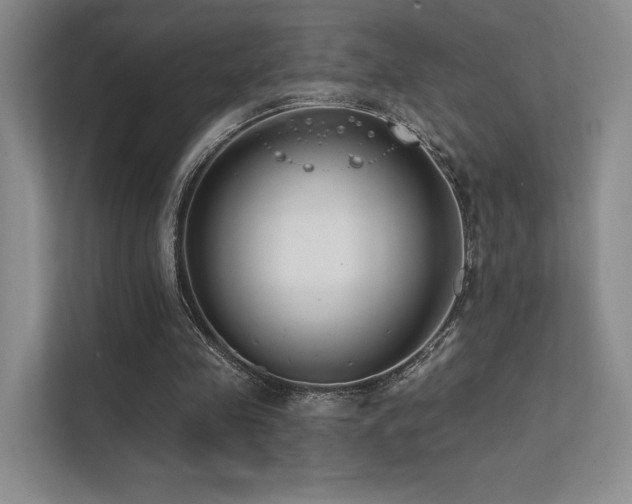 X0000113200341200909101116