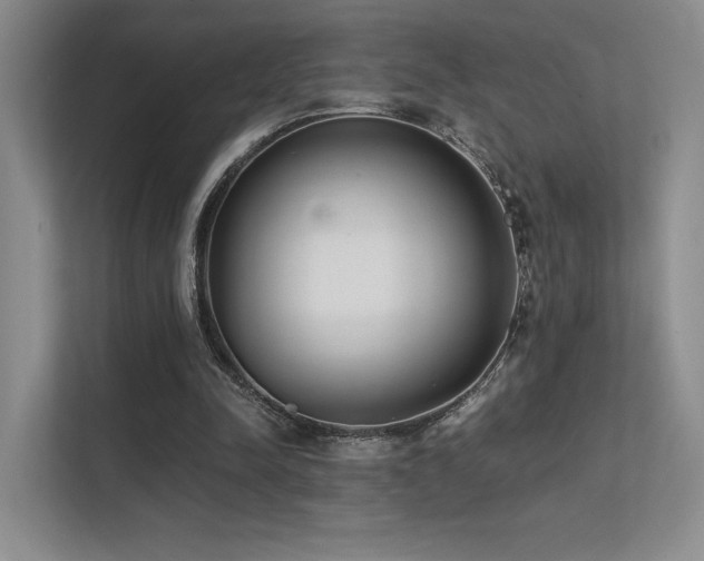 X0000113200342200909101116