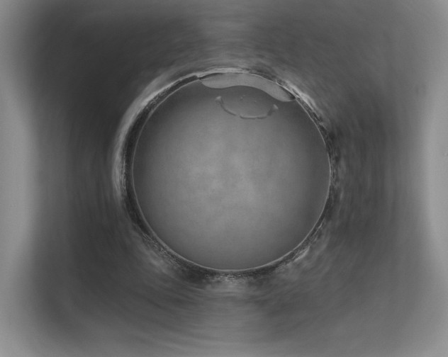 X0000113200343200909101116