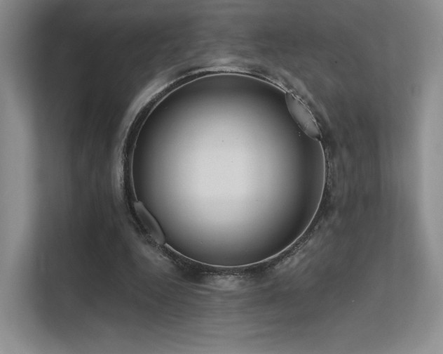 X0000113200344200909101116