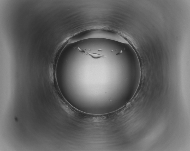 X0000113200345200909101116