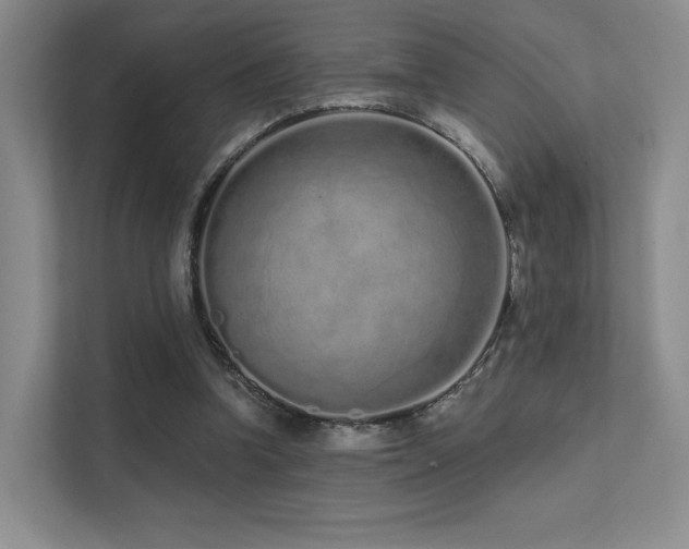 X0000113200346200909101116