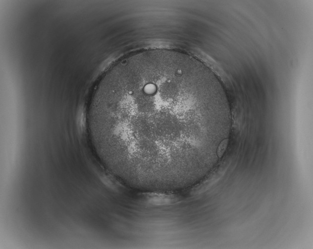 X0000113200347200909101116