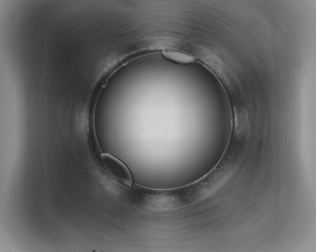 X0000113200348200909101116