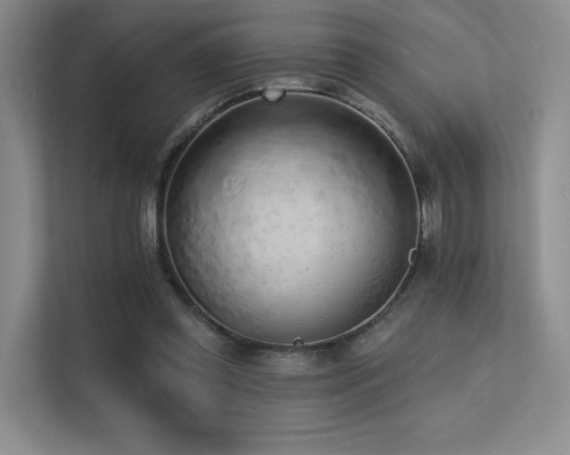 X0000113200349200909101116