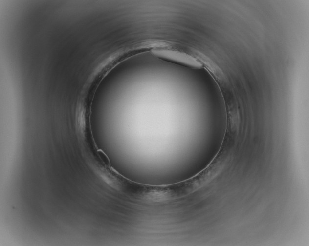 X0000113200350200909101116