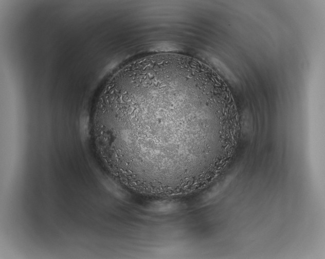 X0000113200351200909101116