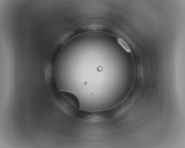 X0000113200356200909101116