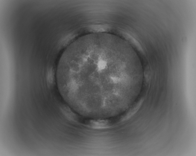 X0000113200359200909101116