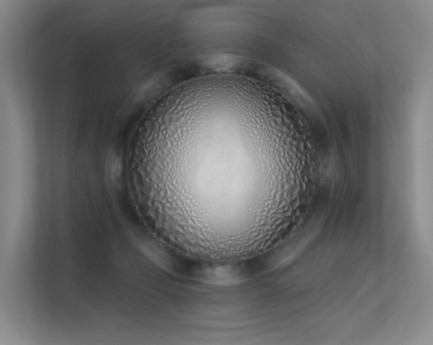 X0000113200365200909101116