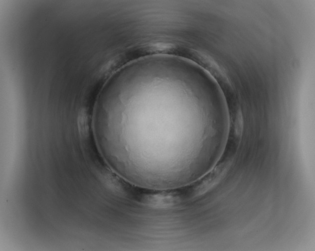 X0000113200366200909101116