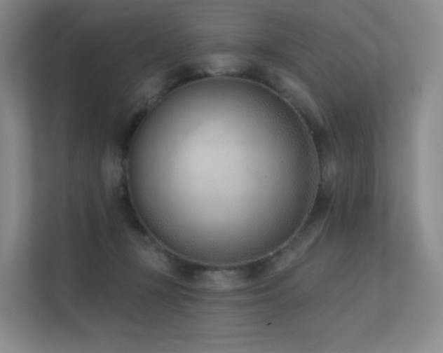 X0000113200367200909101116