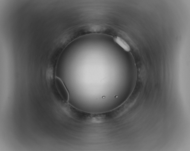 X0000113200368200909101116