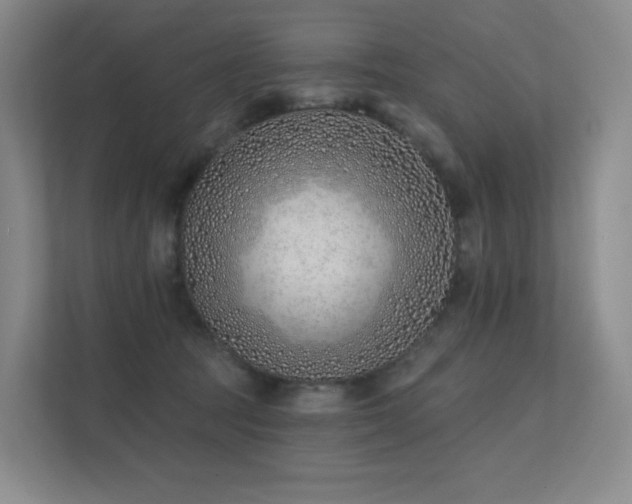 X0000113200369200909101116