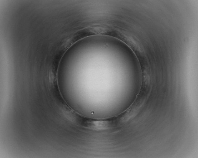 X0000113200371200909101117