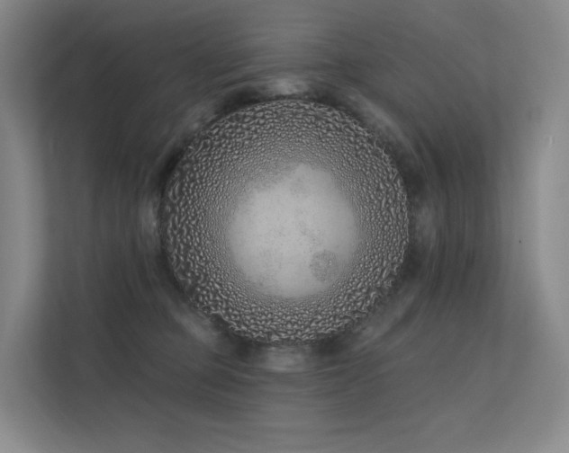 X0000113200373200909101117