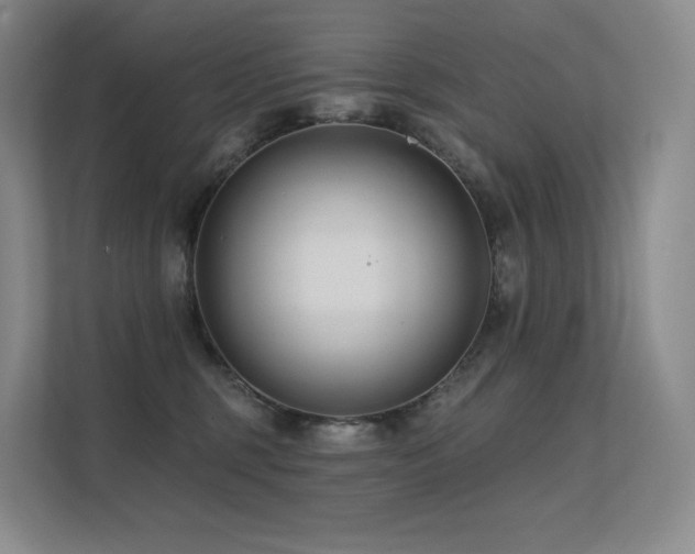 X0000113200375200909101117