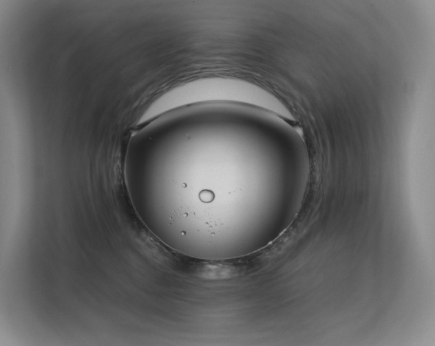 X0000113200376200909101117