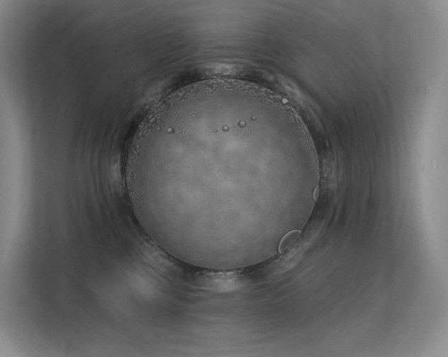 X0000113200377200909101117